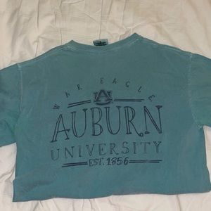 Comfort Colors Auburn Tshirt in Teal
